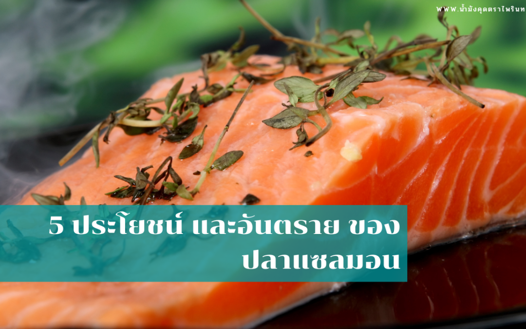 5 ประโยชน์ และอันตราย ของปลาแซลมอน